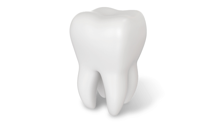 Tooth - Lane Oral Surgery - Plymouth, MA and Sandwich, MA